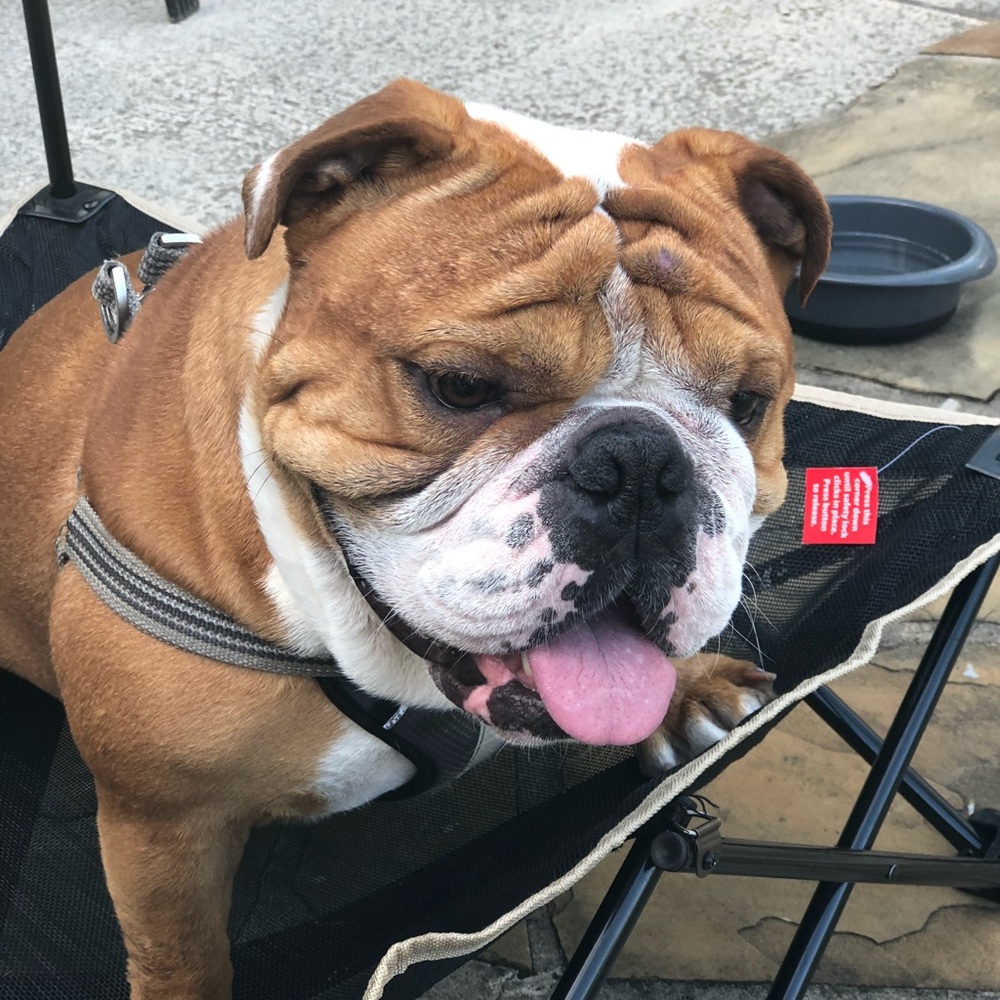 Meet your Posher, Gayle